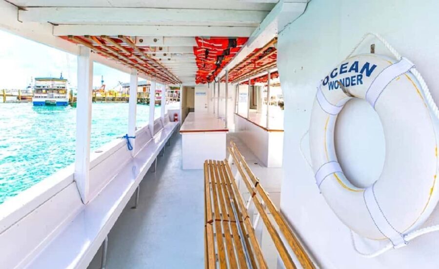 Nassau: Reef Glass Bottom & Snorkel Tour - Considerations and Tips for Travelers