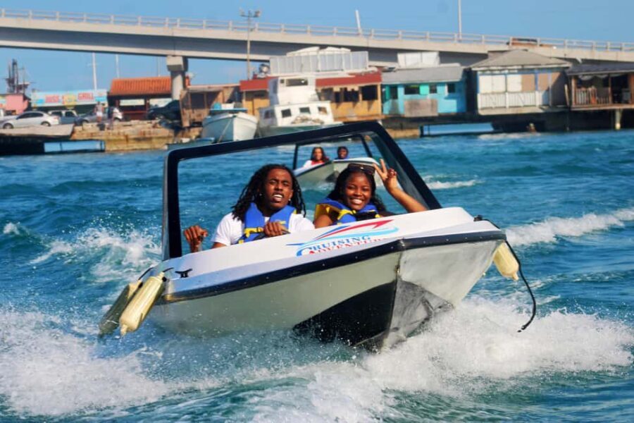 Nassau: Self-Drive Speedboat Ride and Pig Swimming Encounter - A Detailed Look at the Experience