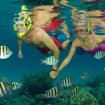 Nassau Shore Excursion: Bahamas Snorkel Adventure - Final Thoughts