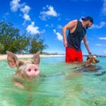 Nassau: Sun Cay and Swimming Pigs Boat Trip with Lunch - Final Thoughts
