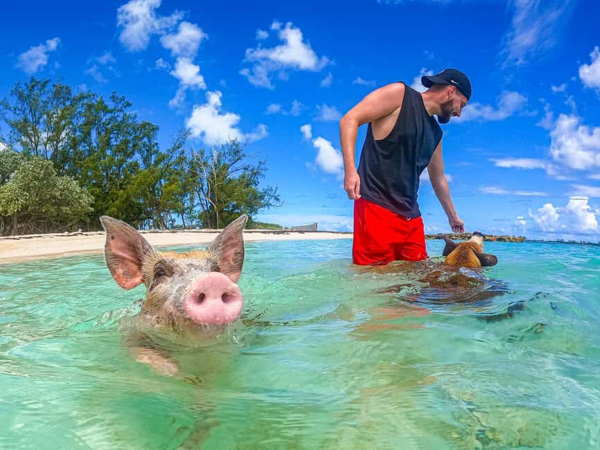 Nassau: Sun Cay and Swimming Pigs Boat Trip with Lunch