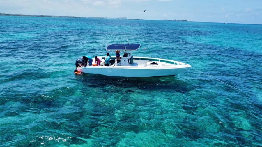 Nassau: Swimming Pigs Private Boat Tour - Up to 7 Persons - Why This Tour Works Well