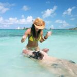 Nassau: Swimming Pigs, Snorkeling, Lunch, & Beach Boat Tour - Practical Details