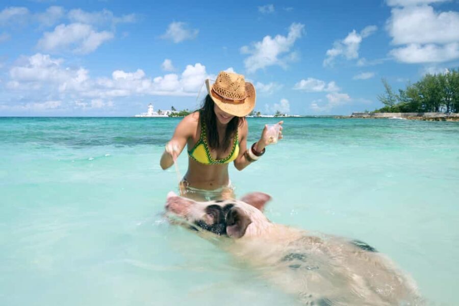 Nassau: Swimming Pigs, Snorkeling, Lunch, & Beach Boat Tour - Practical Details