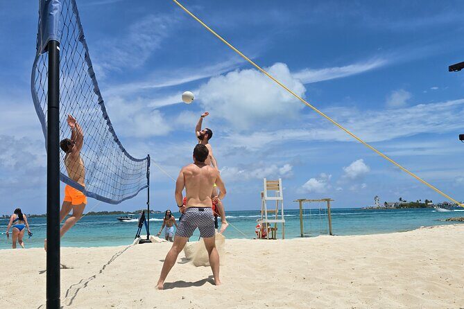 Nassau Swimming Pigs: Snorkeling, Lunch & Private Beach Club - The Sum Up