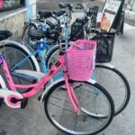 Nassaushores Bicycle Rentals - Authentic Experiences and Local Insights