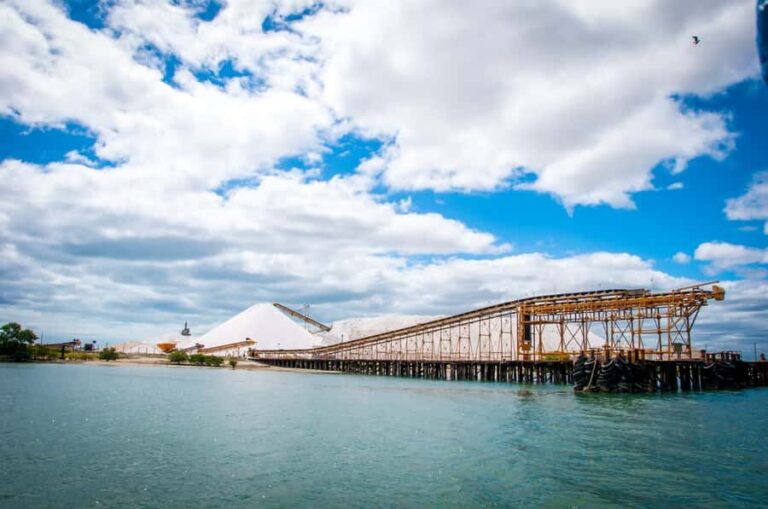 Natal: Galinhos Beach and Salt Flats Full-Day Tour - The Practicalities