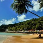 Natal: South Coast Day Tour by 4X4 with Pickup - Practical Details and Tips