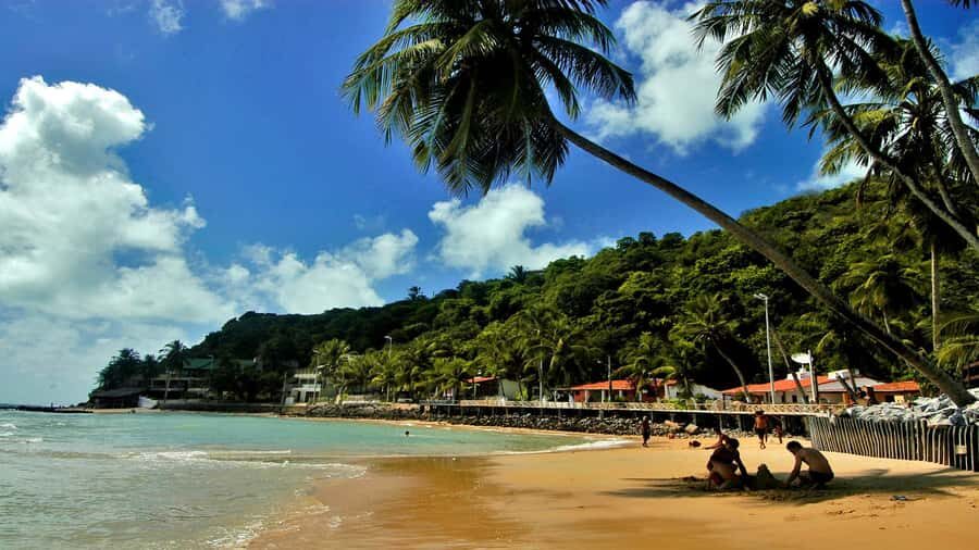 Natal: South Coast Day Tour by 4X4 with Pickup - Practical Details and Tips