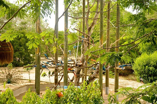 National Aviary private from Cartagena - Who Should Consider This Tour?