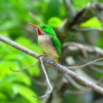 National Park of the East Private Hiking Tour with Swimming - Analyzing the Value