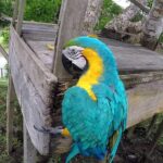 Native Aquatic Species, Jungle Hike & Animal Rescue Center -All tickets included - Why This Tour Offers Value