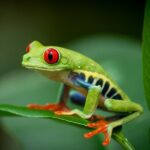 Natura Eco Park Admission - The Sum Up: Who Should Consider Natura Eco Park?