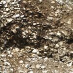 NATURAL AND CULTURAL LAGUNA- Santa Marta Lighthouse, Botos Pescadores and Anita Garibaldi - Who Would Enjoy This Tour?