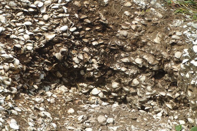 NATURAL AND CULTURAL LAGUNA- Santa Marta Lighthouse, Botos Pescadores and Anita Garibaldi - Who Would Enjoy This Tour?