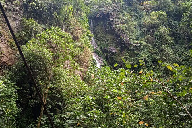 Natural History of the Cloud Forest - Exploring the Cloud Forest: A Complete Guide