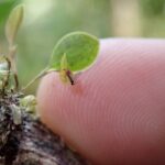 Natural History Tour at Curi Cancha Reserve in Monteverde - FAQ