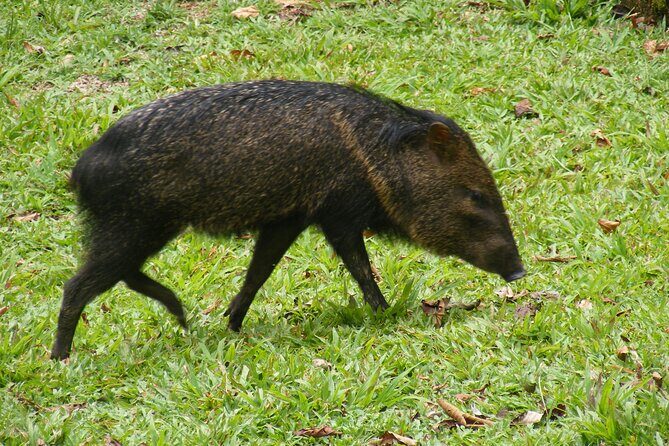 Natural History Walk - Practical Details