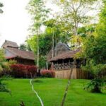 Natural program 3 days / 2 nights - A Close Look at the 3-Day Amazon Tour