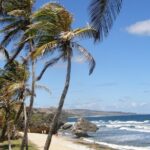 Natural Wonders of Barbados Small-Group with Harrison's Cave - Who Is This Tour Best For?