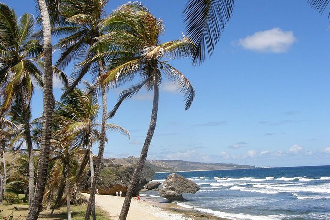 Natural Wonders of Barbados Small-Group with Harrison's Cave - Who Is This Tour Best For?