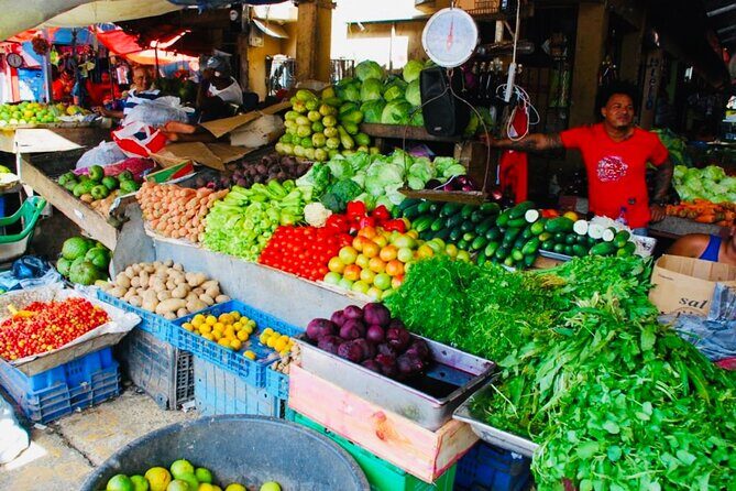 Nature and Adventure Safari Immersion in Dominican Life - Who Should Consider This Tour?