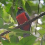 Nature and Bird Watching at Marino Ballena National Park - Final Thoughts