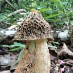 Nature and Culture Experience at Santa Rosa National Park - Who Will Enjoy This Tour?