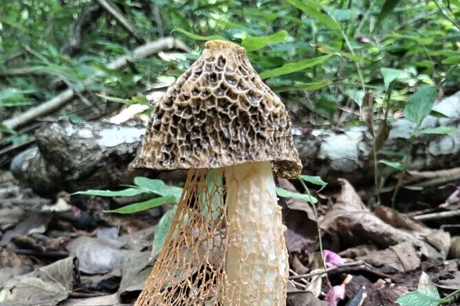 Nature and Culture Experience at Santa Rosa National Park - Who Will Enjoy This Tour?