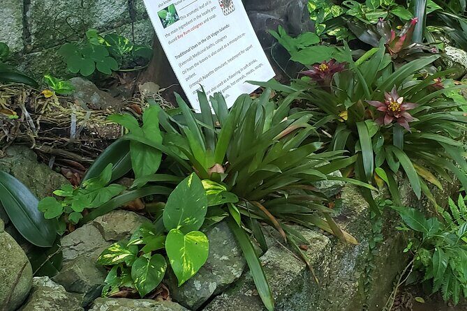 Nature and Sightseeing at Phantasea Tropical Botanical Garden - Exploring the Garden: What to Expect