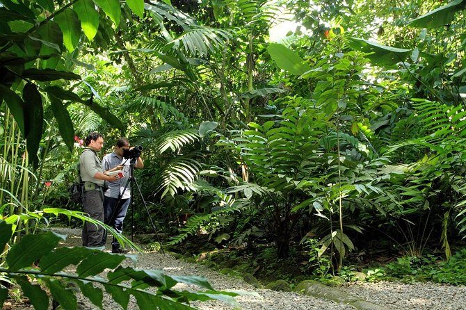Nature Walk at Ecological Park and Butterfly Garden Danaus - Who Will Love This Tour?
