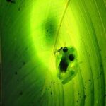 Naturegocr Monteverde - The Sum Up