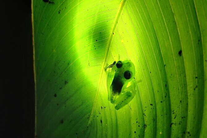 Naturegocr Monteverde - The Sum Up