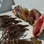 Nauti Dreams Private Boat Charter - Final Words: Is It Worth It?