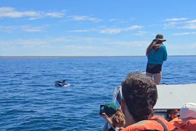 Nautical Adventure in Search of Dolphins - Why This Tour Stands Out