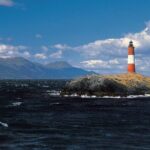 Navigate through the Beagle Channel: Seal, Bird & Penguin Islands - An In-Depth Look at the Tour Experience