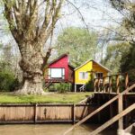Navigation in Delta of Tigre - Exclusive semi private tour - An In-Depth Look at the Navigation in Delta of Tigre Tour