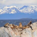 Navigation in the Beagle Channel with minitrekking USHUAIA - The Value of This Tour