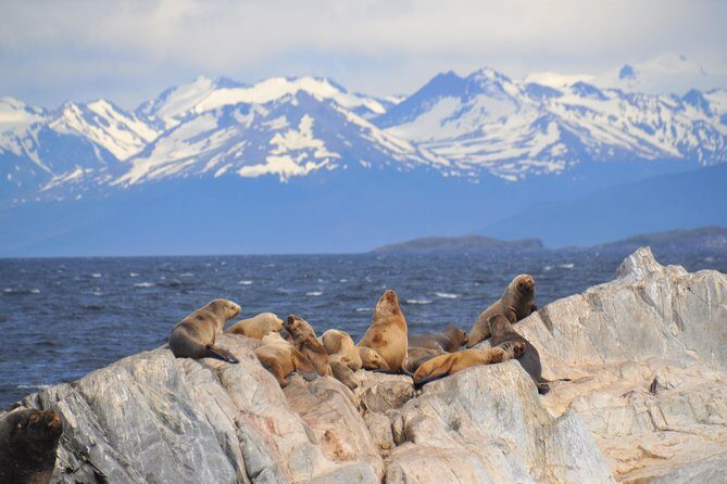 Navigation in the Beagle Channel with minitrekking USHUAIA - The Value of This Tour