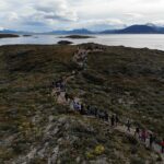 Navigation through the Beagle Channel, Los Lobos and the Bridges - Who Should Consider This Tour?