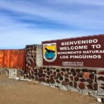 Navigation to South Fjords & Magdalena Island - An In-Depth Look at the Magdalena Island Tour