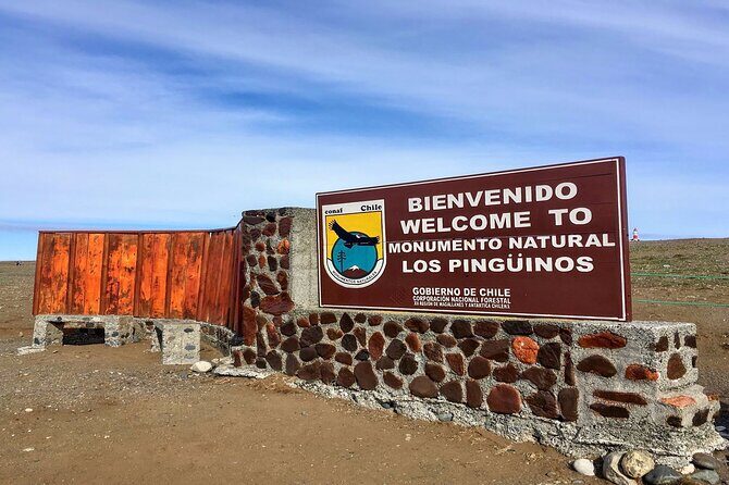 Navigation to South Fjords & Magdalena Island - An In-Depth Look at the Magdalena Island Tour