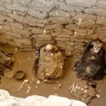 Nazca: Chauchilla Cemetery Archaeological Tour - Who This Tour Is Best For