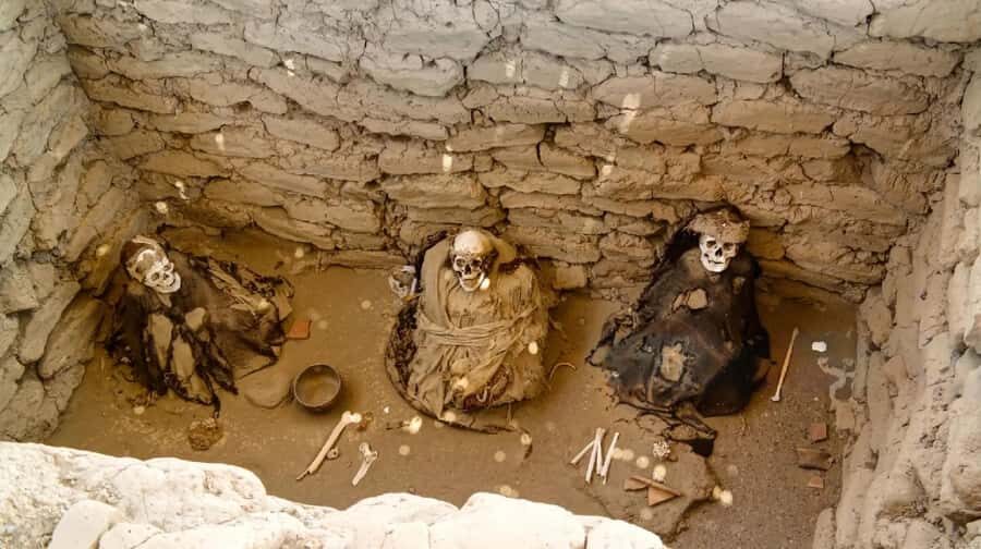 Nazca: Chauchilla Cemetery Archaeological Tour - Who This Tour Is Best For