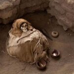 Nazca - Chauchilla Cemetery Tour - Exploring the Chauchilla Cemetery: What to Expect