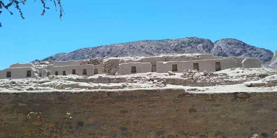 Nazca City Tour  Cantalloc and Paredones Aqueducts - Who This Tour Is Best For