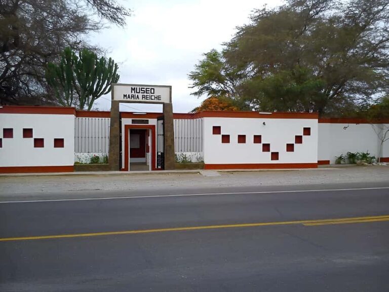 Nazca: Maria Reiche Museum and Nazca Lines Lookout Tour - Who Should Consider This Tour?