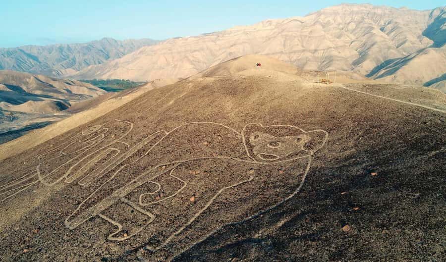 Nazca: Palpa Lines and Maria Reiche Museum Tour - A Deep Dive into the Tour Experience