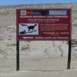 Nazca: Private service San Fernando Reserve Guided Tour - What We Think About the Experience