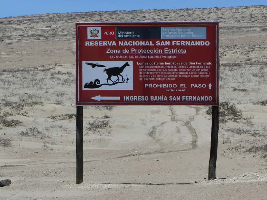 Nazca: Private service San Fernando Reserve Guided Tour - What We Think About the Experience